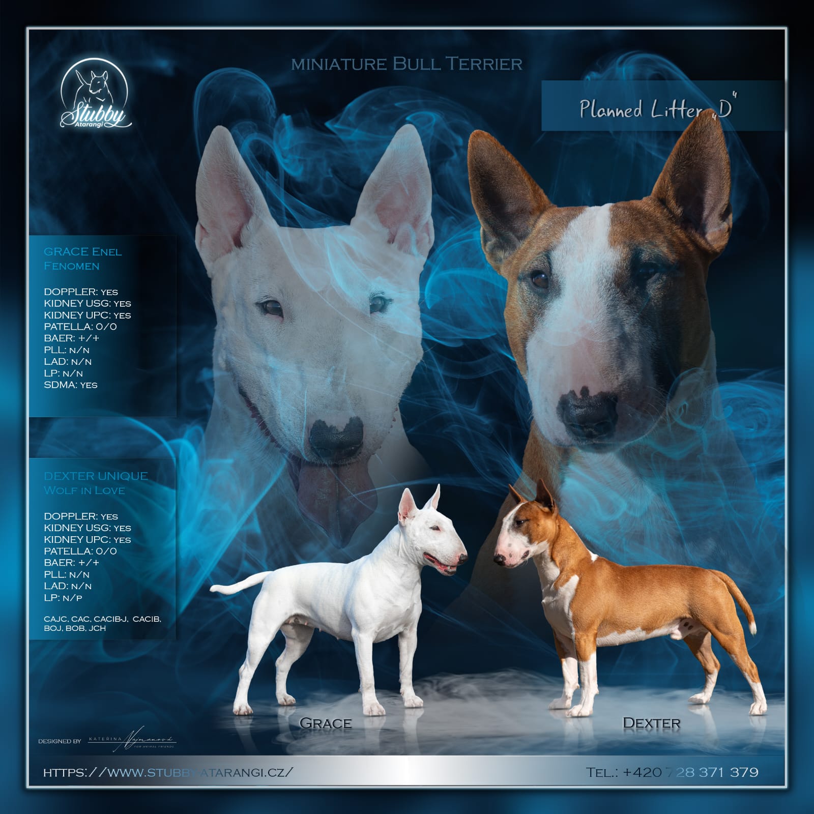 Grafika a foto: Kateřina Najmanová,  For Animal Friends 