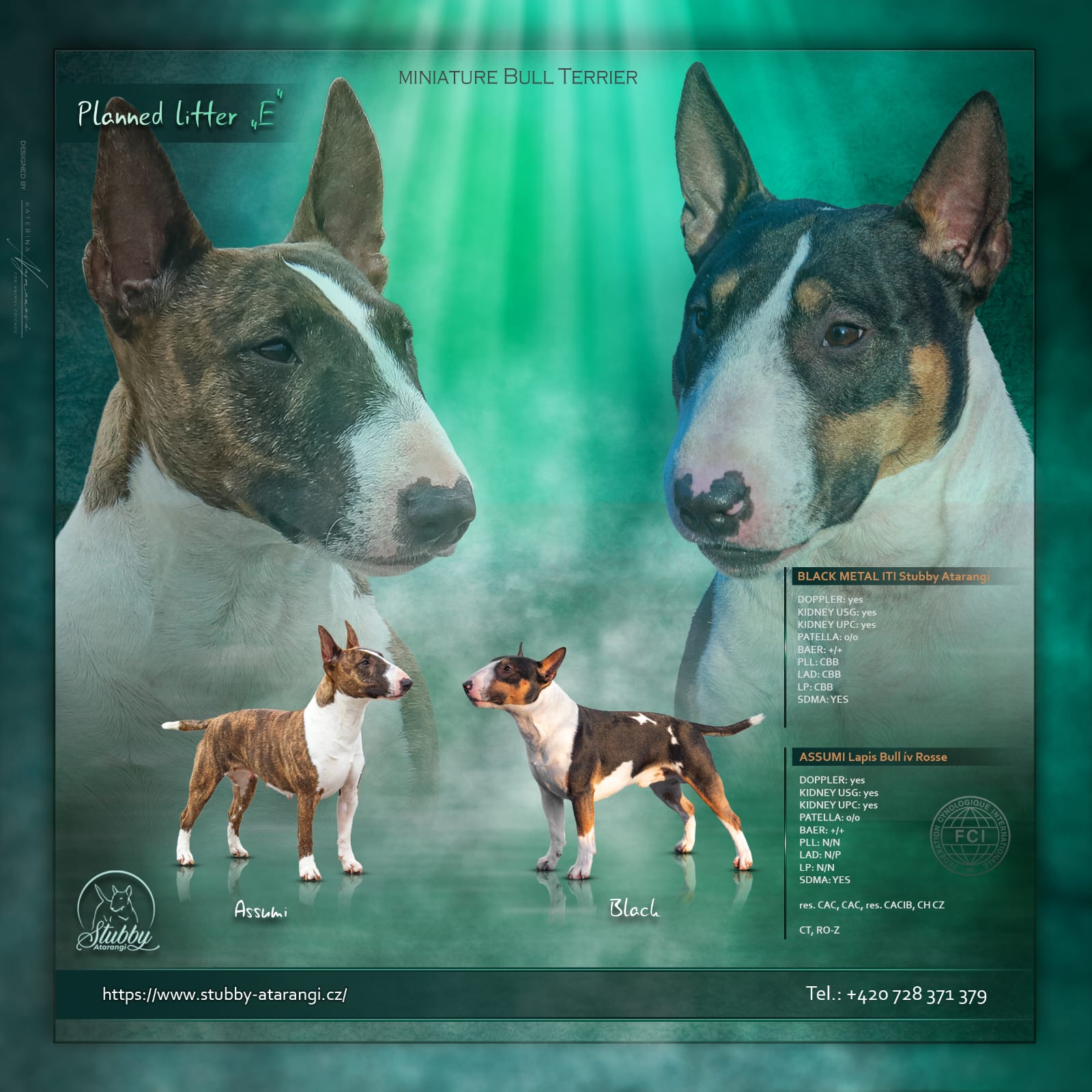 Foto a grafika: Kateřina Najmanová, For Animal Friends