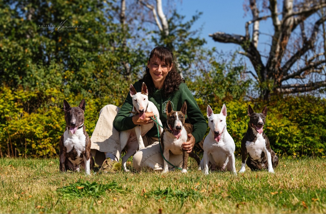 foto: Kateřina Najmanová; For Animal Friends